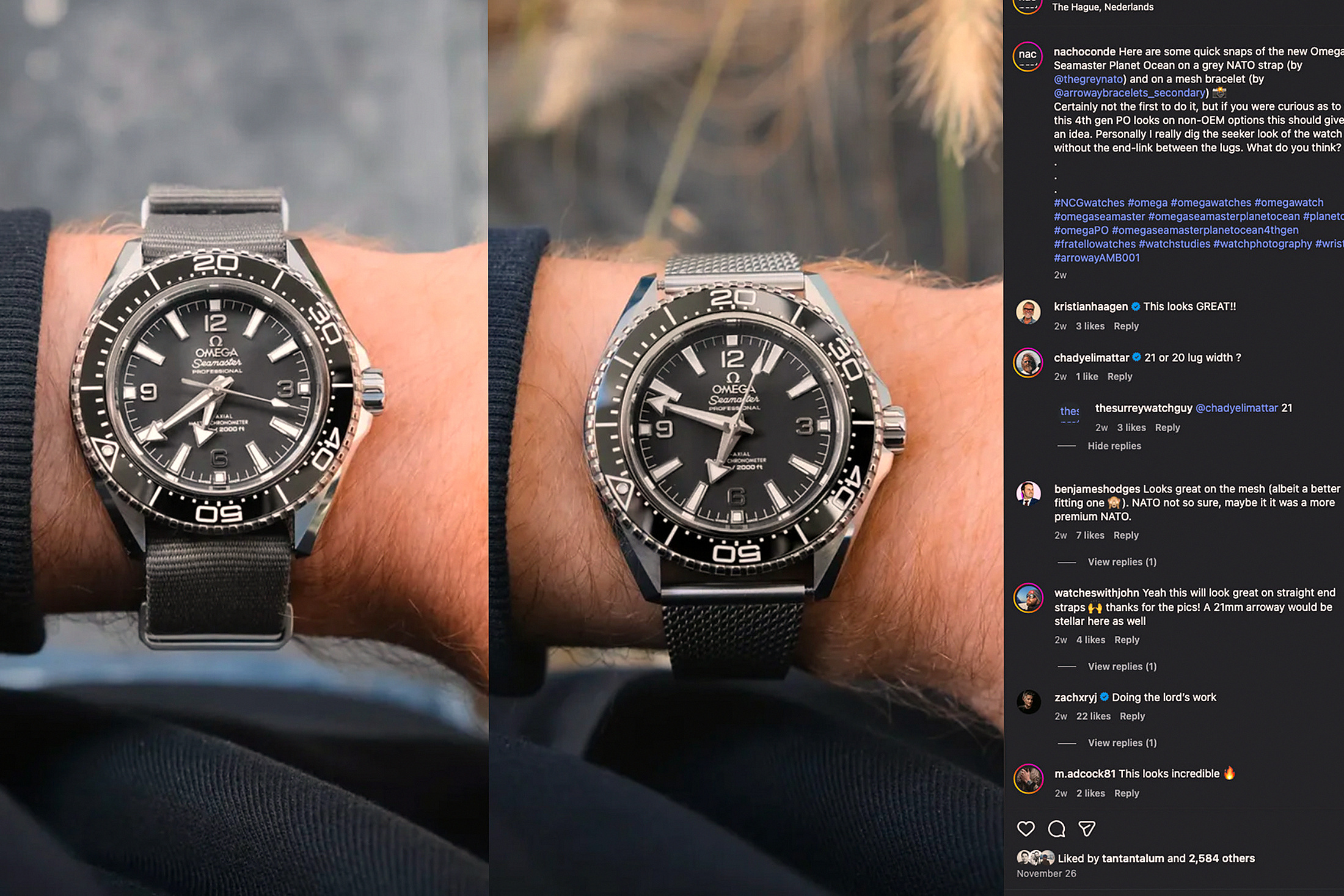 Omega Planet Ocean 2025 в коллекции